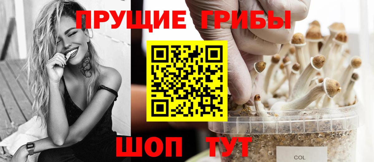 Псилоцибиновые грибы мицелий Шелехов